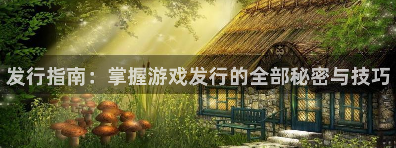 pp电子智邦：发行指南：掌握游戏发行的全部秘密与技巧
