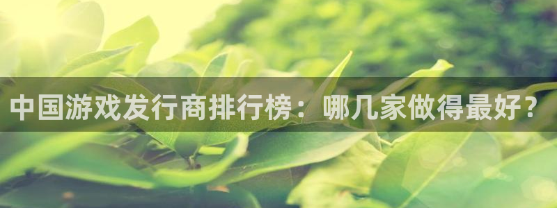 pp电子子市值：中国游戏发行商排行榜：哪几家做得最好？