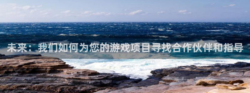 广州pp电子投资