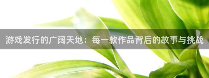 pp电子球队：游戏发行的广阔天地：每一款作品背后的故事与挑战