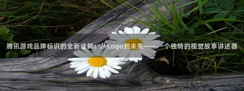 pp电子子经理人杂志：腾讯游戏品牌标识的全新诠释：从Logo到未来——一个独特的视觉故事讲述器