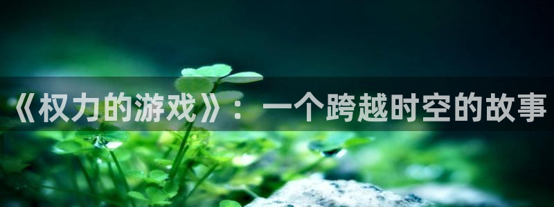 pp电子品牌顾问有限公司