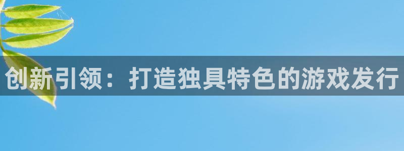 pp电子官网登录注册账号安全吗：创新引领：打造独具特色的游戏发行