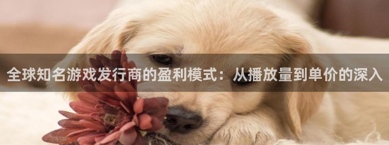 陕西pp电子子文化创意是干什么的